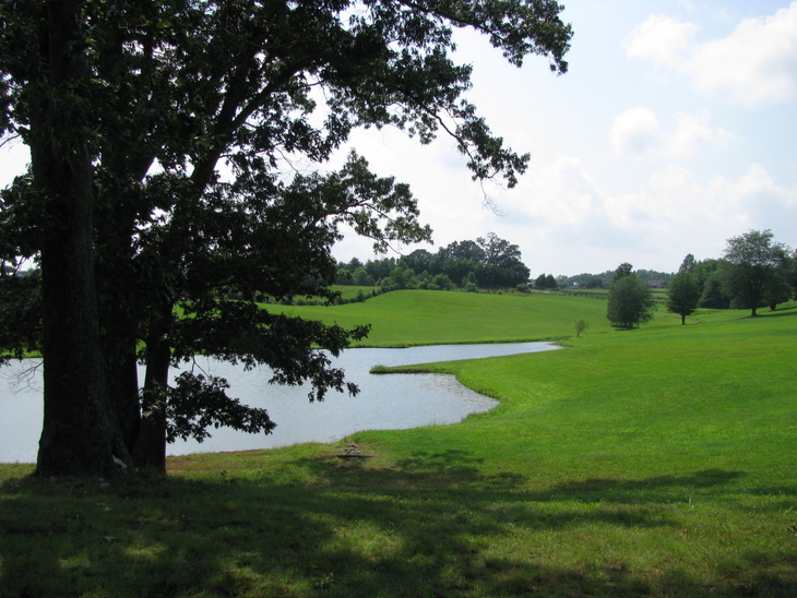 Heron Hawk Training Grounds picture 1